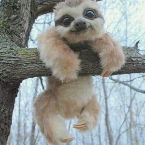 Meet your Posher, Norma jean